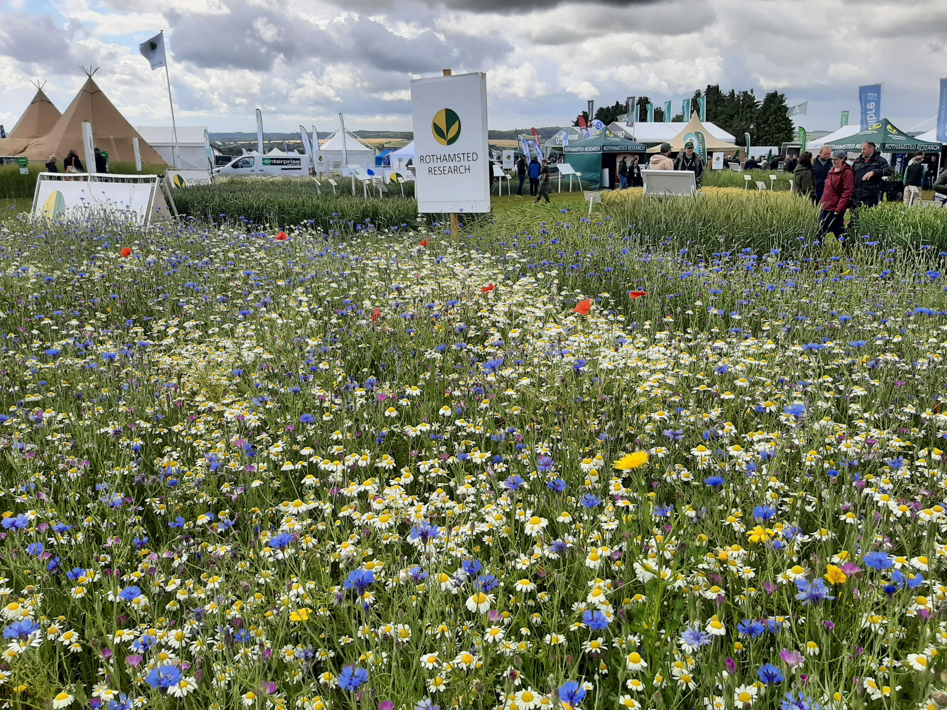 Cereals_20260610_103627 (19).jpg