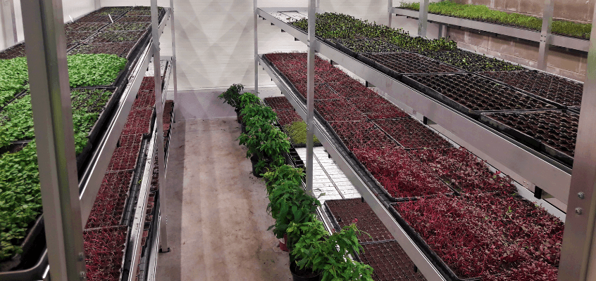 Katmikaianduse infopäev 2022 - Baltic Agro