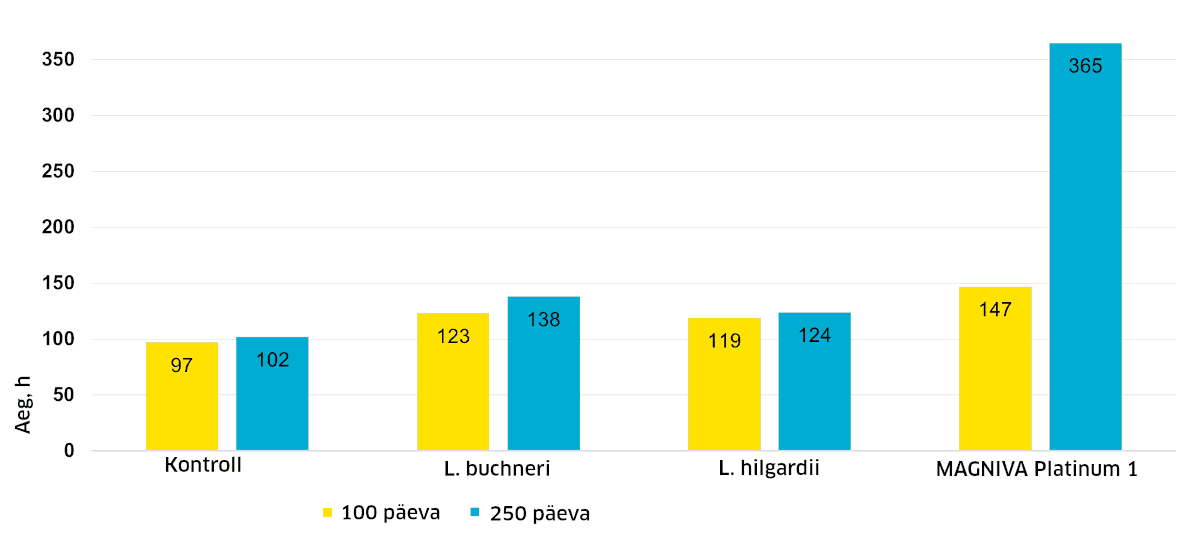 Magnivaga valmistatud maisisilo stabiilsus