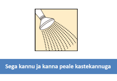 Raxon-rae-kastmine.png