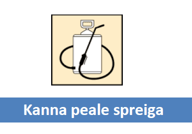 Raxon-rae-pritsiga.png