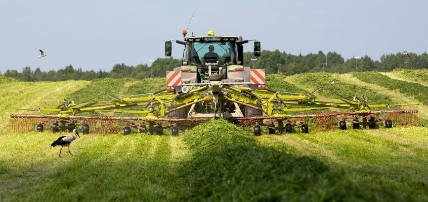 Miks teha siloanalüüse? - Baltic Agro