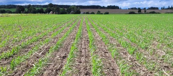 Sügisene lämmastikväetis - Baltic Agro