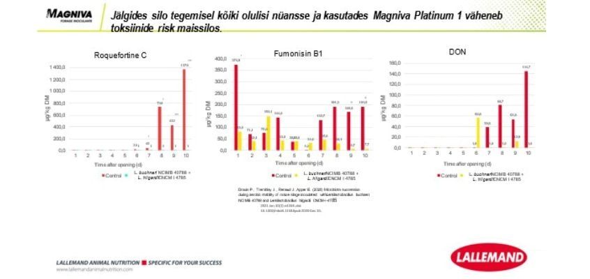 TMagniva Platinum 1. Toksiinide risk maisisilos