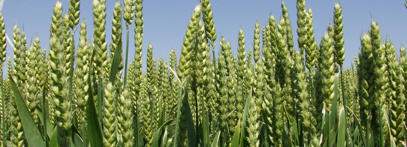 2019 Maheseminar Viljandis - Baltic Agro