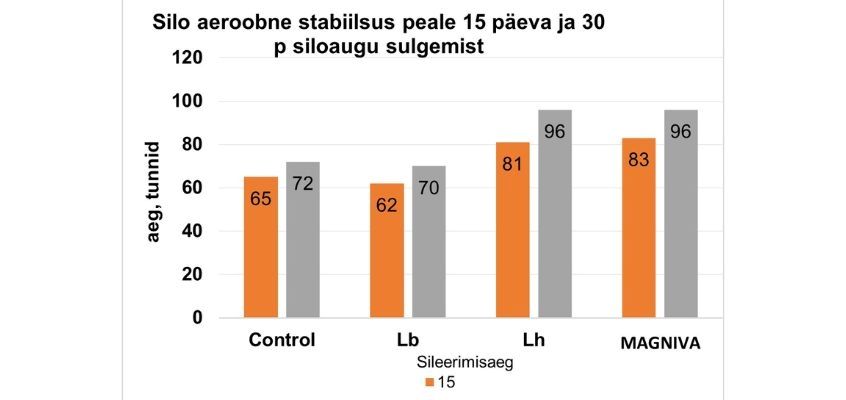 Maisisilo aeroobne stabiilsus. Magniva Platinum 1