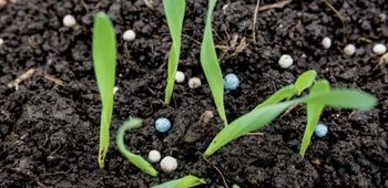 Graanulväetised - Baltic Agro